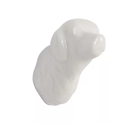 Clayre & Eef Magnet hond 4x2x4 cm