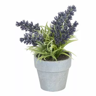 Clayre & Eef Deko Lavendel im Blumentopf 23cm