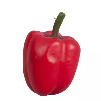Clayre & Eef Deko Paprika rot Ø8cm