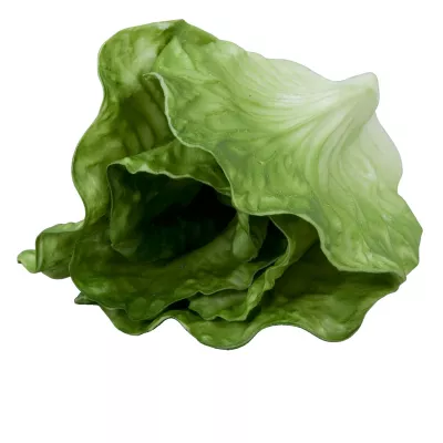 Clayre & Eef Deko Salat 