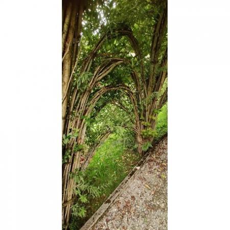 Tiffany Deckenleuchte Willow