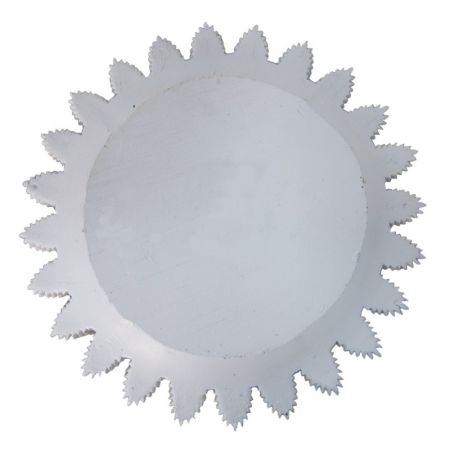 Clayre & Eef Servierschale Ø 25x1 cm Weiß Goldfarbig Kunststoff Zweige Rund