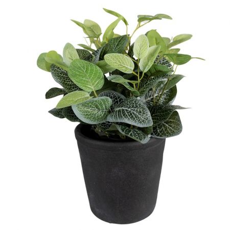 Clayre & Eef Blumentopf Indoor Ø 16x16 cm Grau