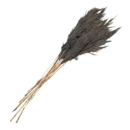 Clayre & Eef Trockenblumen 100 cm Grau Trockenblumen