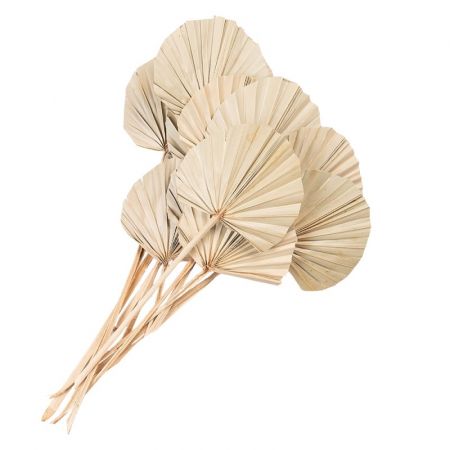 Clayre & Eef Trockenblumen 55 cm Beige Trockenblumen