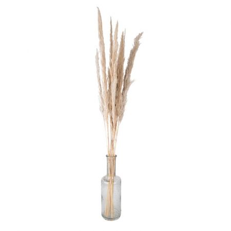 Clayre & Eef Trockenblumen 100 cm Beige Trockenblumen