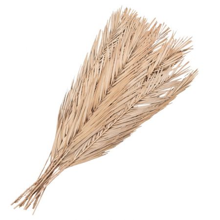 Clayre & Eef Trockenblumen 100 cm  Beige Trockenblumen