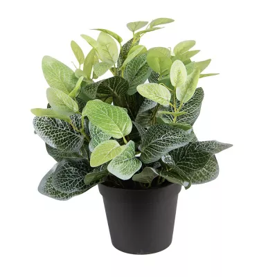 Clayre & Eef Künstliche Pflanzen 33 cm Grün