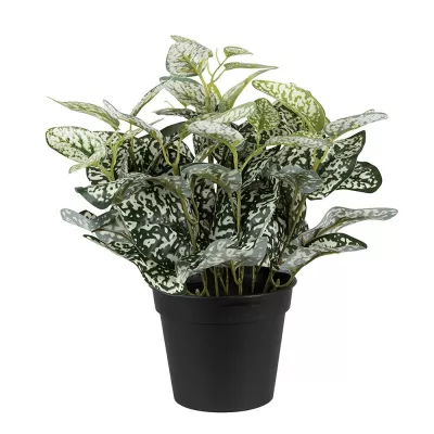 Clayre & Eef Künstliche Pflanzen 34 cm Grün