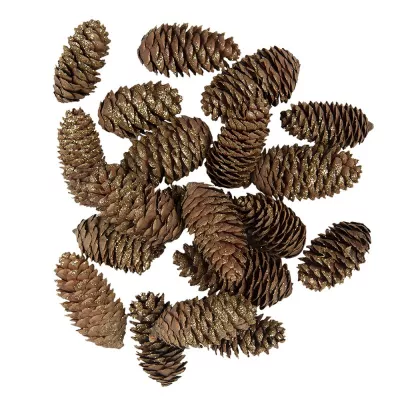 Clayre & Eef Kunstpflanzen 7/9 cm Braun