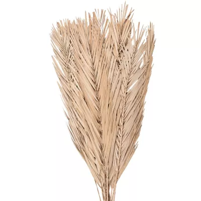 Clayre & Eef Trockenblumen 100 cm  Beige Trockenblumen