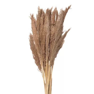 Clayre & Eef Trockenblumen 100 cm Braun Trockenblumen