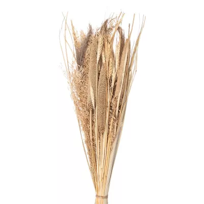 Clayre & Eef Trockenblumen 80 cm Beige Trockenblumen