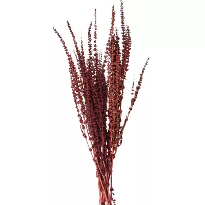 Clayre & Eef Trockenblumen 85 cm Rot Trockenblumen