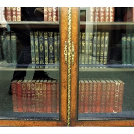 Antiker Bücherschrank aus dem 19. Jahrhundert