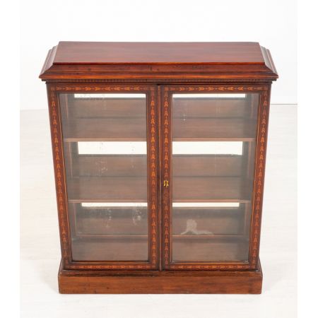 Verglastes Bücherregal mit Mahagoni