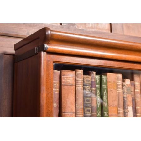 Edwardianisches Globe Wernicke Bookcase