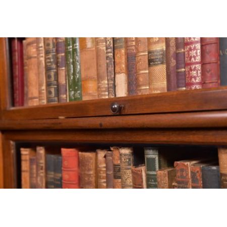 Edwardianisches Globe Wernicke Bookcase