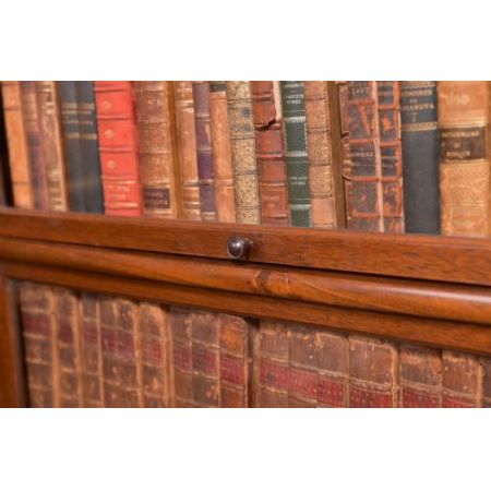 Edwardianisches Globe Wernicke Bookcase