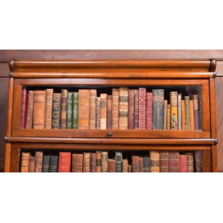 Edwardianisches Globe Wernicke Bookcase