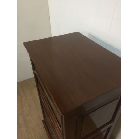 Antiker Aktenschrank aus dem 19. Jahrhundert