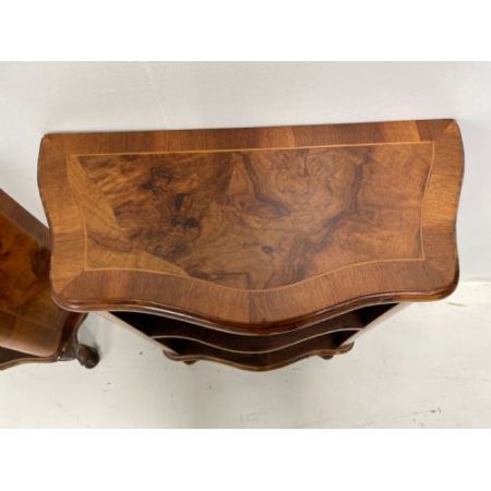 Antikes Paar Nussbaumbaucm Bücherregale