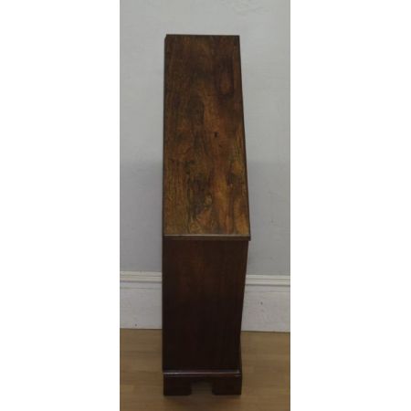 Palisander Bücherregal im Regency Stil