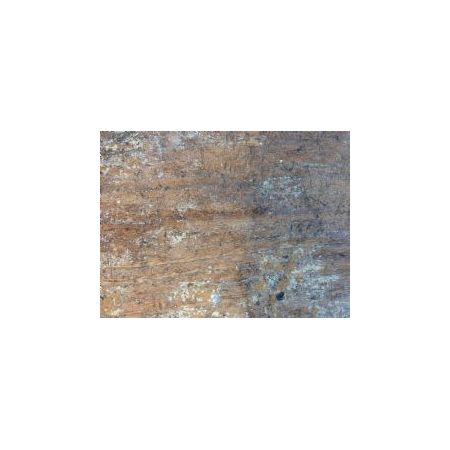 Antike georgische Ulmenholz Truhe