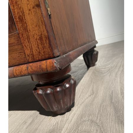 Antiker Mahagoni-Bücherschrank mit Unterschrank aus dem 19. Jahrhundert