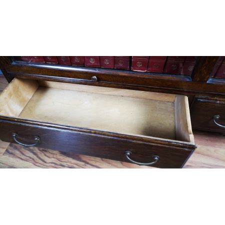 Antiker Globe Wernicke Bücherschrank / library bookcase aus Eichenholz von Gunn