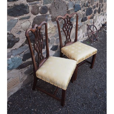 Ein Paar Georgianische Stühle im "Chippendale" Design aus Mahagoni