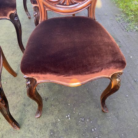 Elegantes Set aus 6 Esszimmerstühlen aus Nussbaumholz