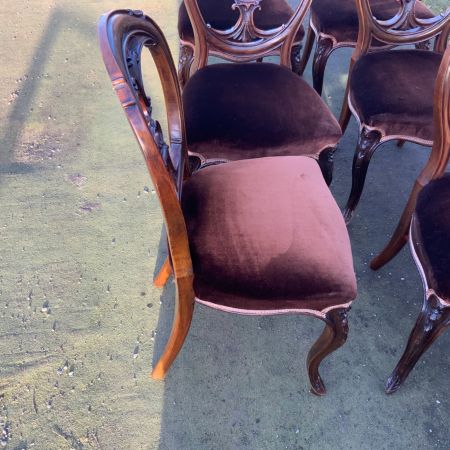 Elegantes Set aus 6 Esszimmerstühlen aus Nussbaumholz