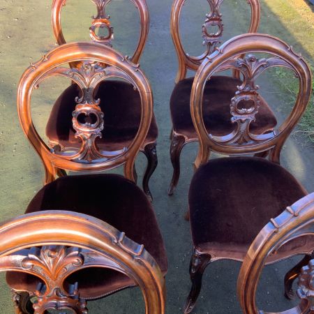 Elegantes Set aus 6 Esszimmerstühlen aus Nussbaumholz