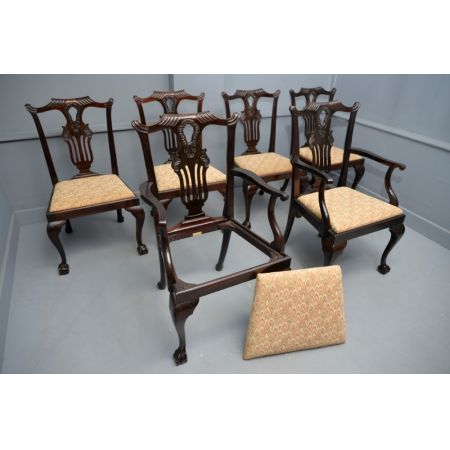Elegantes Set aus sechs edwardianischen Mahagoni-Dining-Stühlen im Chippendale-Stil (by phillips & Jones)