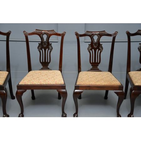 Elegantes Set aus sechs edwardianischen Mahagoni-Dining-Stühlen im Chippendale-Stil (by phillips & Jones)