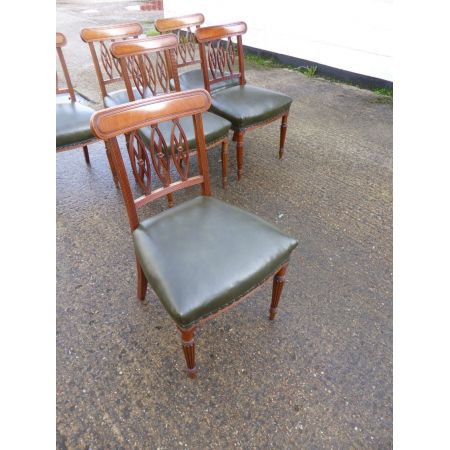 Set aus 6 mahagoni esszimmerstühlen im regency Stil