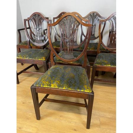 8er Set georgianische shield-back Stühle aus Mahagoni