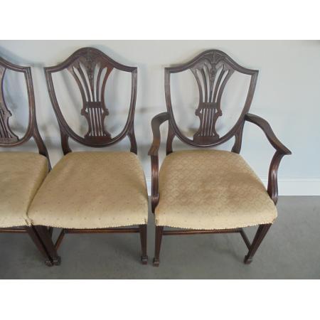 Acht Mahagoni Esszimmerstühle, Essstühle im Hepplewhite Style