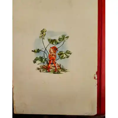 Aquarell-Buch mit Elfen, Kobolden und Feen