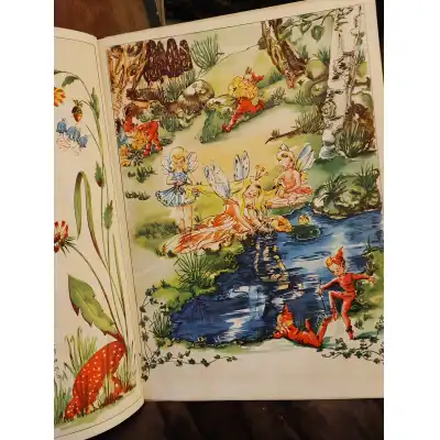 Aquarell-Buch mit Elfen, Kobolden und Feen