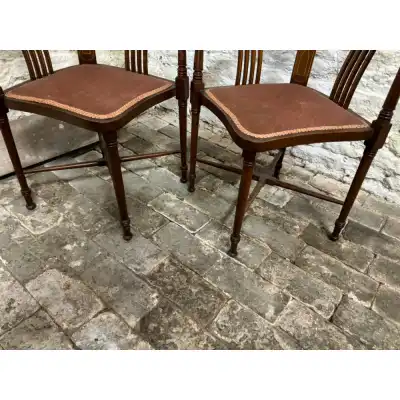 Paar edwardianische Mahagoni-Eckstühle 