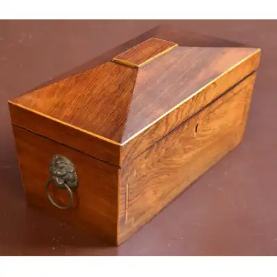 Regency Palisander Teekiste – Ein Meisterwerk der Regency-Ära