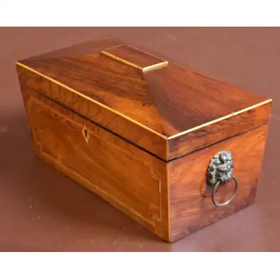 Regency Palisander Teekiste – Ein Meisterwerk der Regency-Ära