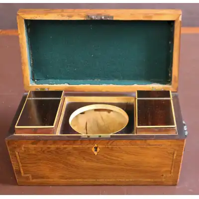 Regency Palisander Teekiste – Ein Meisterwerk der Regency-Ära