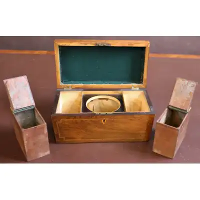 Regency Palisander Teekiste – Ein Meisterwerk der Regency-Ära