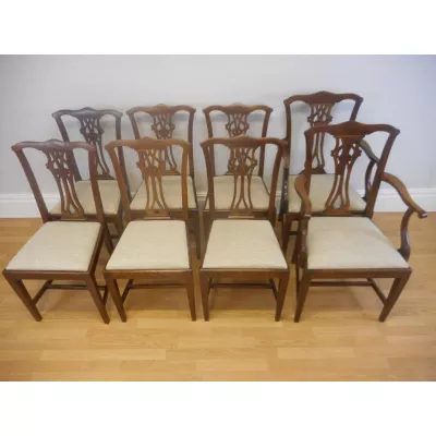 8 Chippendale Eichenstühle von ca. 1880