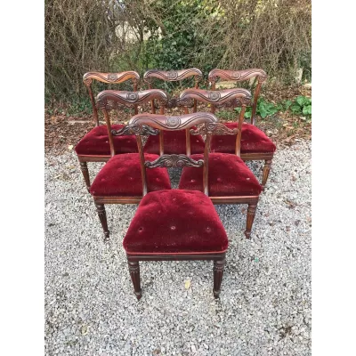6 Stühle aus Palisanderholz im Stil William IV, original 19. Jhd