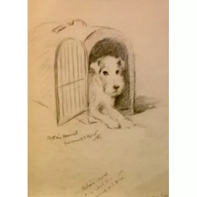 Lucy Dawson schwarze Kreide Foxterrier von ca. 1940
