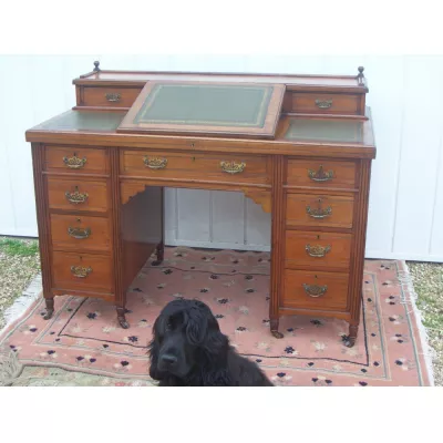 Viktorianischer Zwillingssockel Schreibtisch im Dickens Stil aus Nussbaum aus dem 19.JH